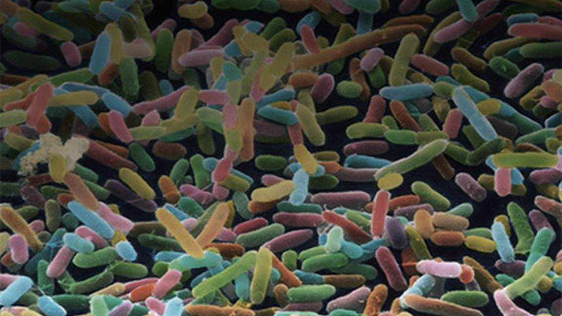 ReachMD Healthcare Image