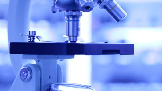 Research Could Lead to New Treatments for People with Autoimmune Disorders