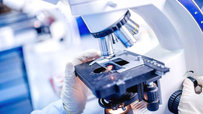 Study Identifies Autoimmune Disease Associated with Testicular Cancer