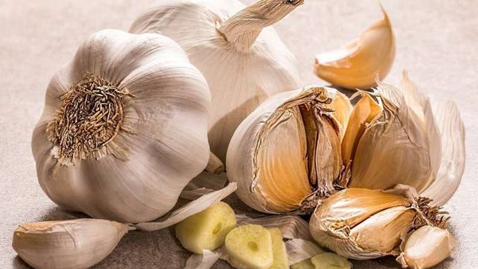 Essential Oils from Garlic & Other Herbs Kill Lyme Disease Bacteria