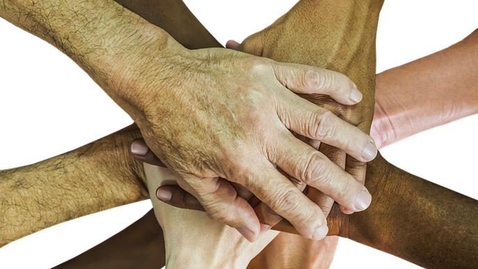 ReachMD Healthcare Image