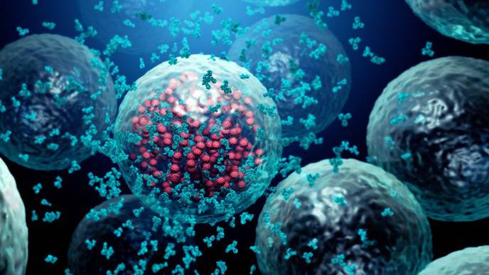 ReachMD Healthcare Image