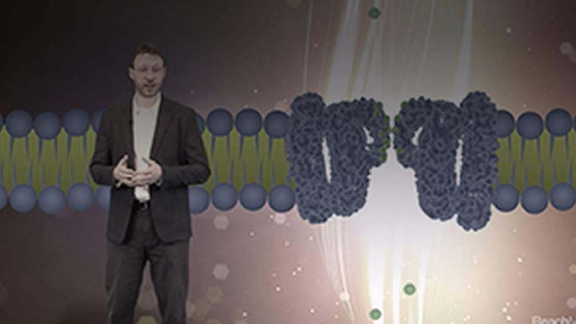 ReachMD Healthcare Image