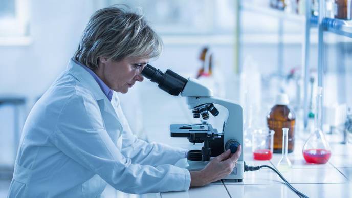 Scientists Find How to Block Inflammatory Molecules in Mouse Model of MS