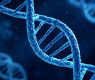 Single Cell Study Links Sex Bias to Lupus Related Immune Signals