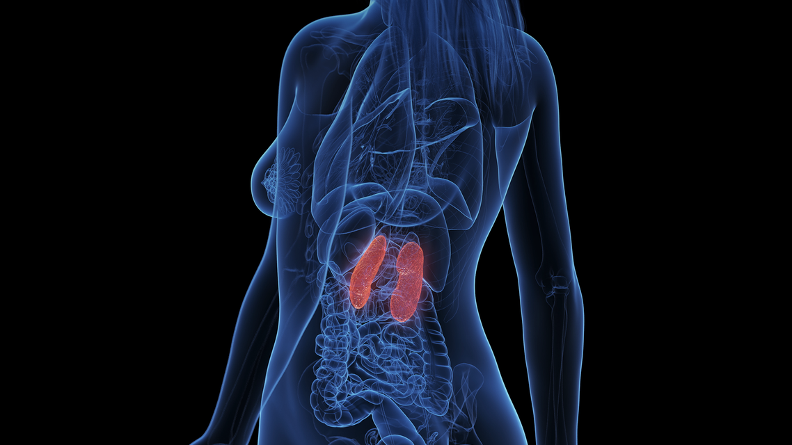 ReachMD Healthcare Image