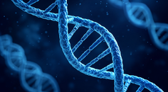 Single Cell Study Links Sex Bias to Lupus Related Immune Signals