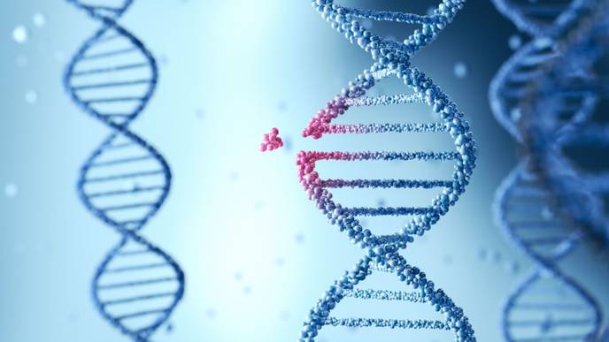 ReachMD Healthcare Image