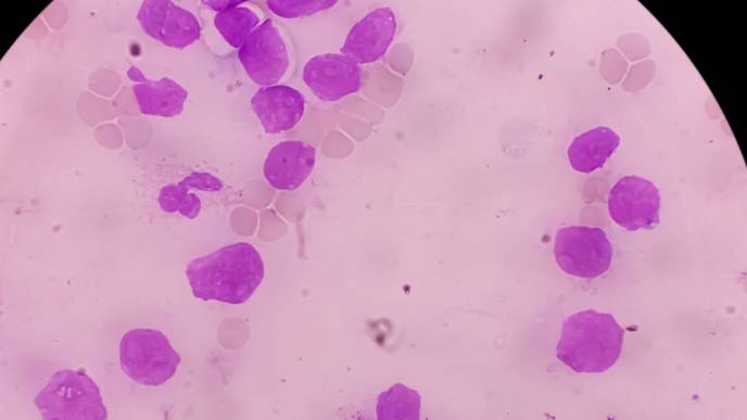 ReachMD Healthcare Image